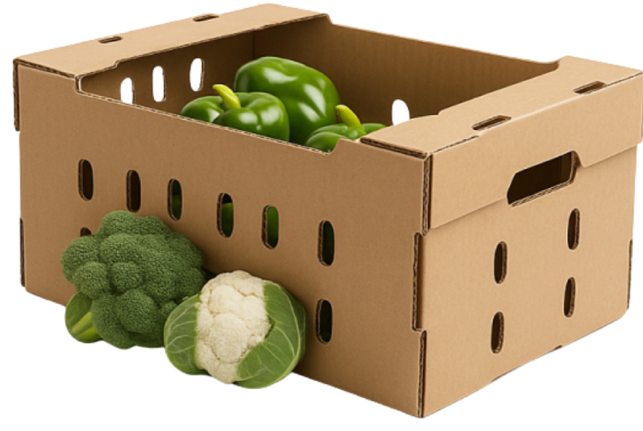 Cajas agrícolas de cartón corrugado para empaque industrial en Tlaxcala